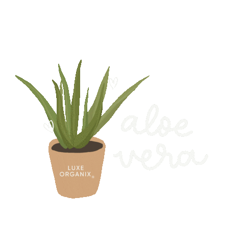 My Skin Skincare Sticker by Luxe Organix PH