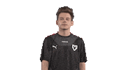 Dexter Mouz Sticker by mousesports