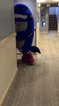 College Mascot GIF by University of Alaska Southeast