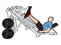 Legs Leg Day Sticker by Graduate_Fitness