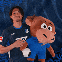 Sport Bundesliga GIF by TSG Hoffenheim