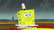 season 9 GIF by SpongeBob SquarePants