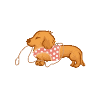 chloeandlala dog dachshund sausage dog wiener dog Sticker
