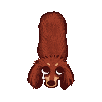 Sausage Dog Sticker