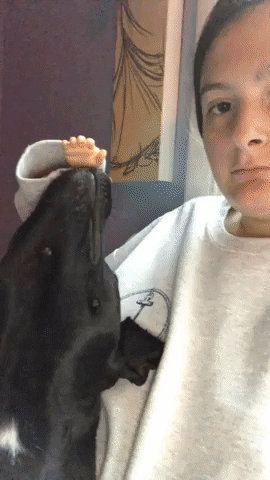 jermbly giphyupload GIF