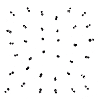 animation blooming GIF by David Koblesky