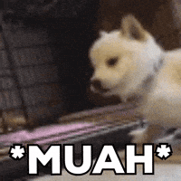 I Love You Kiss GIF