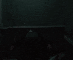 Gnat GIF by Eminem