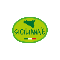 orange blutorangen Sticker by mammarancia