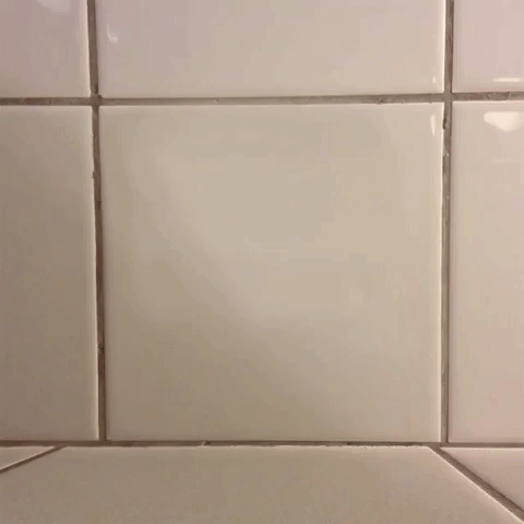 toilet paper poop GIF
