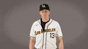 Cal State La Baseball GIF by Cal State LA Golden Eagles