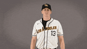 Cal State La Baseball GIF by Cal State LA Golden Eagles