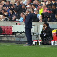 Celebrate Premier League GIF by Crystal Palace Football Club