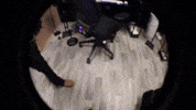 Anti GIF