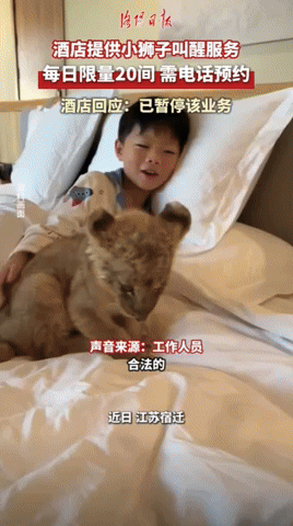 yj_jane giphyupload GIF