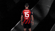 Turn Sge GIF by Eintracht Frankfurt