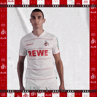 1 Fc Cologne Football GIF by 1. FC Köln
