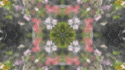 Art Film GIF by jorgemariozuleta
