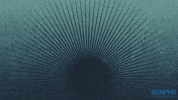 Fitness Health GIF by RENPHO