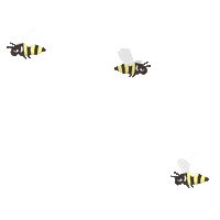 YOPEsoap yope pszczoły beeyope Sticker