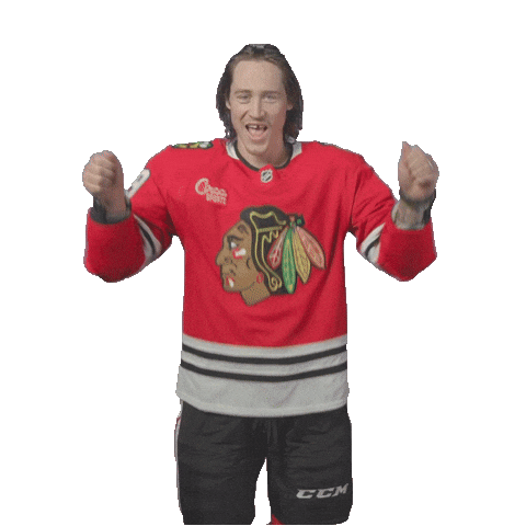 Tyler Bertuzzi Chicago Sticker by NHLBlackhawks