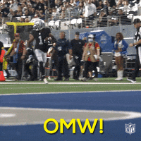 Las Vegas Raiders Football GIF by NFL