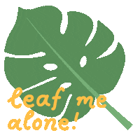 jwildflower nature plant leaf leaves Sticker