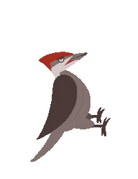 Frustrated Work Sticker