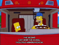 explaining homer simpson GIF