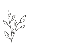 Plant Sticker