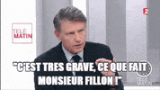 vincent peillon citation GIF by franceinfo
