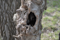 thebluesquare big poppa e GIF