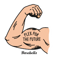 Vegan Proteinbar Sticker by Barebells Functional Foods