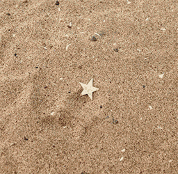 GIF by Glitch Wizard