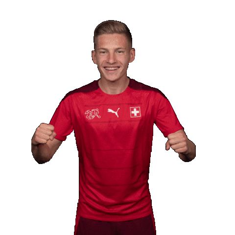 Euro 2020 Sport Sticker by UEFA