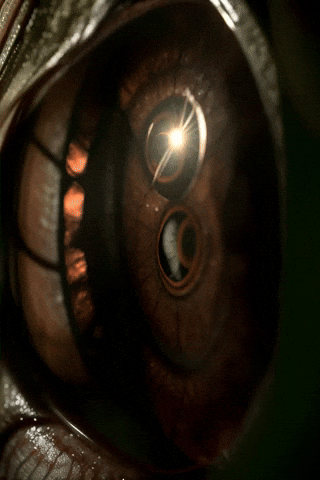 Dream Satisfy GIF by Aleksey Efremov