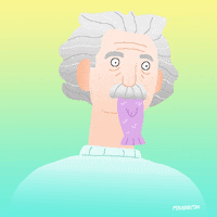 Albert Einstein Fox GIF by Animation Domination High-Def
