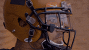 Illinois Football GIF by Fighting Illini Athletics