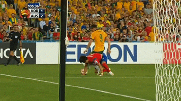 Asian Cup Troisi GIF by Football Federation Australia