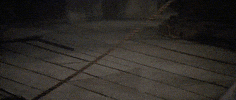martial arts training GIF by Shaw Brothers