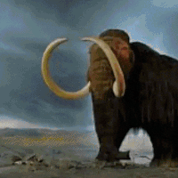 events believe educational wo historical GIF