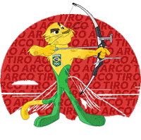 Olympic Sports Sport Sticker by Time Brasil