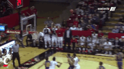 cincinnati bearcats celebration GIF by University of Cincinnati Athletics