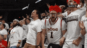 cincinnati bearcats fans GIF by University of Cincinnati Athletics