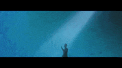 Agbw GIF by A Great Big World