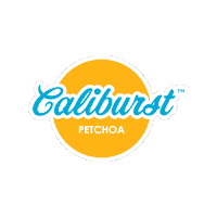 Yellow Flower Sticker by Ball Horticultural Co