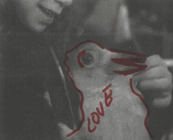 Sound And Vision Love GIF by Beeld en Geluid