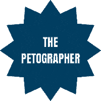 thepetographer tp dog photographer dog photography thep Sticker