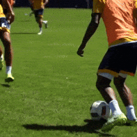 chivla GIF by LA Galaxy