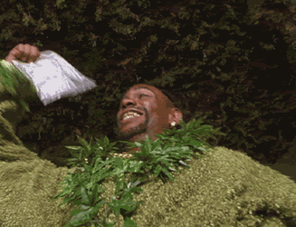 half baked weed GIF